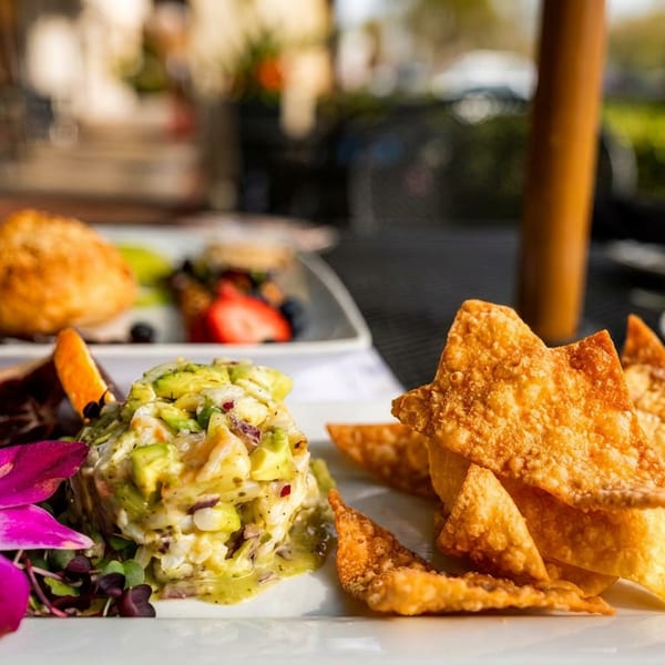 Appetizer plate with avocado salad, crispy wontons, blood orange slice, and a purple orchid.